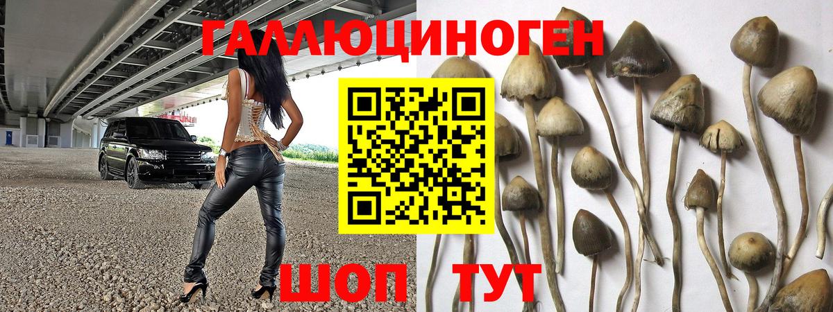 ГАШ  A-PVP СОЛЬ   Топки  Меф   Вход с VPN  МАРИХУАНА  Экстази 