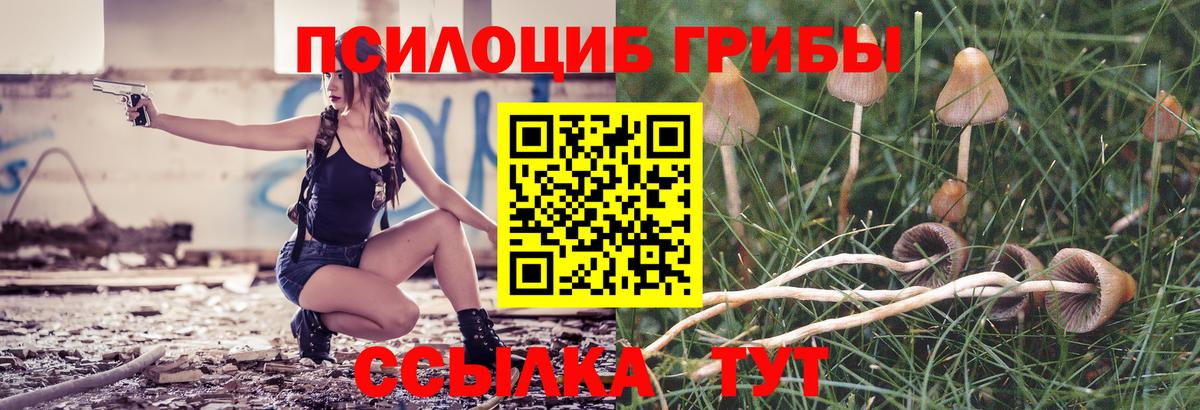 Топки  Псилоцибиновые грибы Cubensis  Вход с VPN 