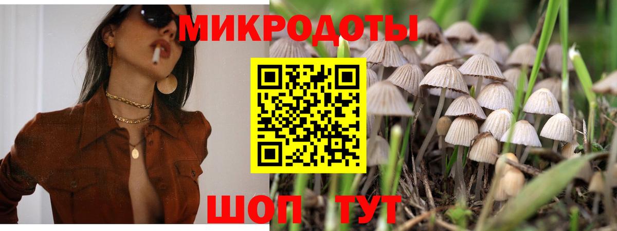 Псилоцибиновые грибы Psilocybe Топки